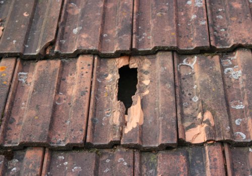 Reparatur von Sturmschäden